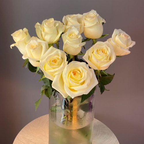 Роза кремовая